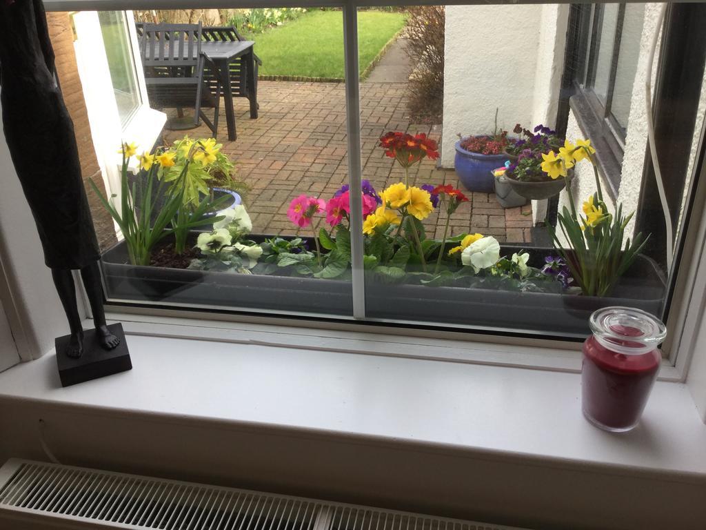 Craggallan Guest House Ayr Eksteriør billede