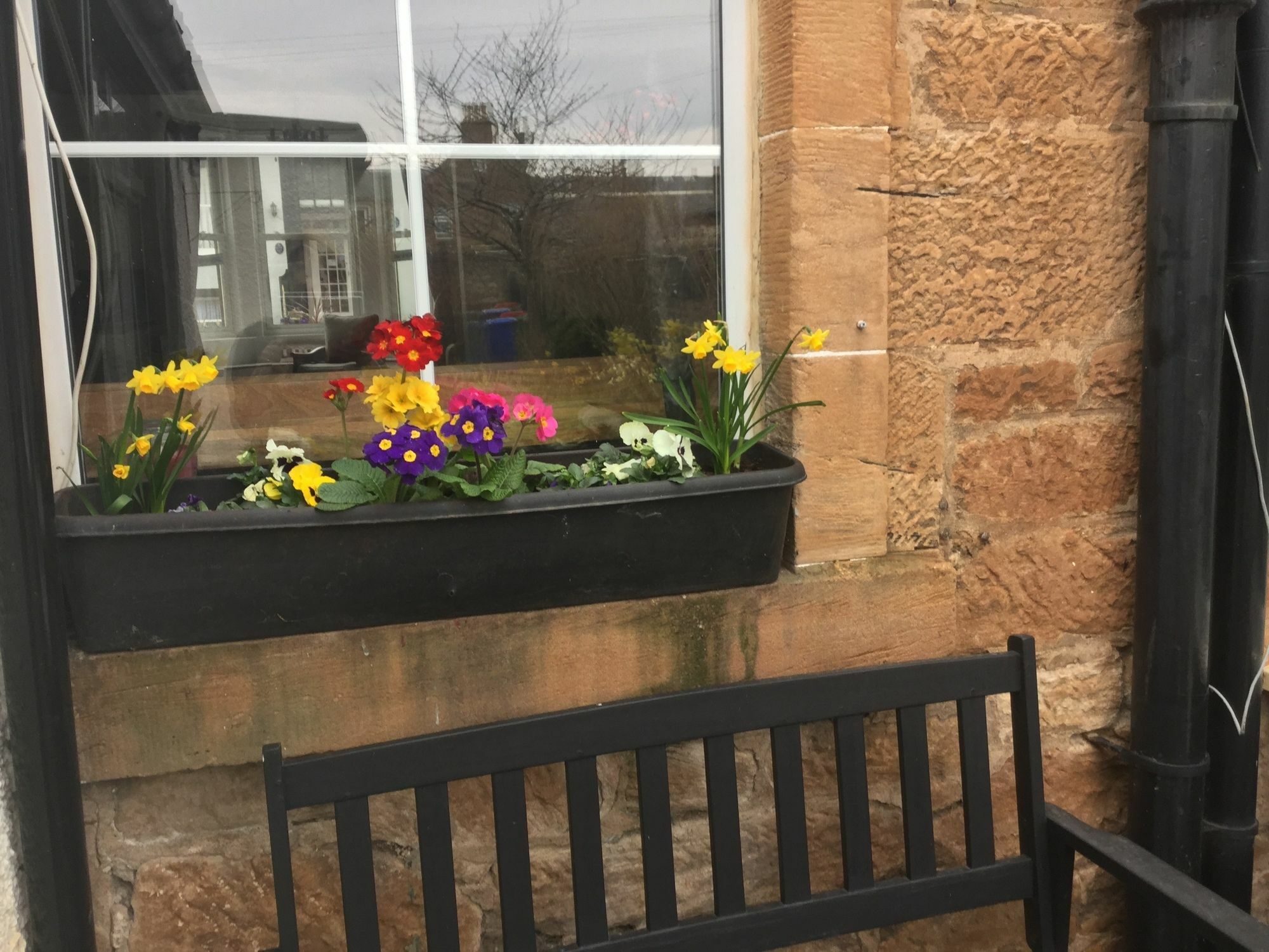 Craggallan Guest House Ayr Eksteriør billede